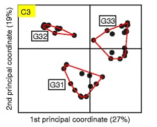 Figure 2: The scientists identified three distinct microbial communities of which the G33 com-munity with its extraordinarily high count of pro-inflammatory, LPS-producing gram-negative Bac-teroides was characteristic of children with early autoantibody development (Figure from Endes-felder. 2016).