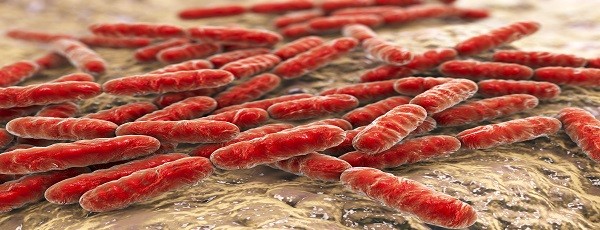 Could Thrīv’s bacteria reduce the risk of breast cancer?