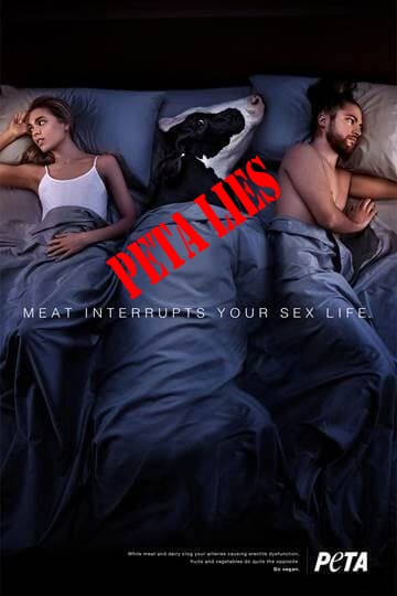 peta-1-1