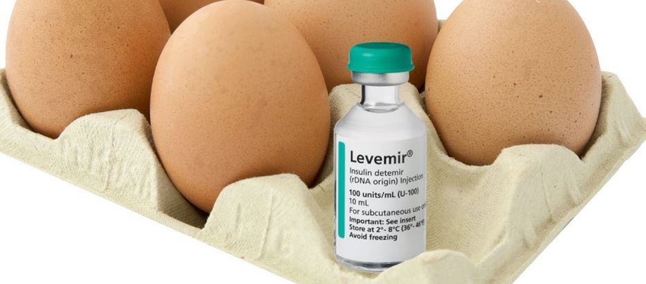 Eggs & diabetes – where do we stand?