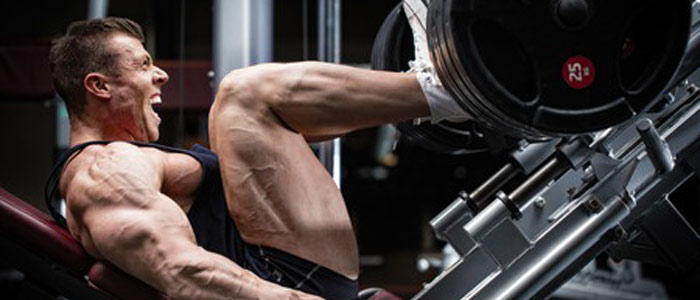 man doing leg training in the gym