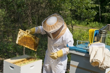 SHR # 2073 :: The Life of a Bee Charmer + Shooting the Breeze ::