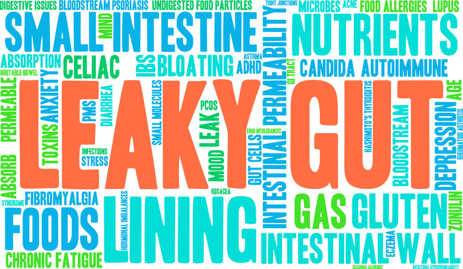  SHR # 2218 :: New Information About Leaky Gut Syndrome ::