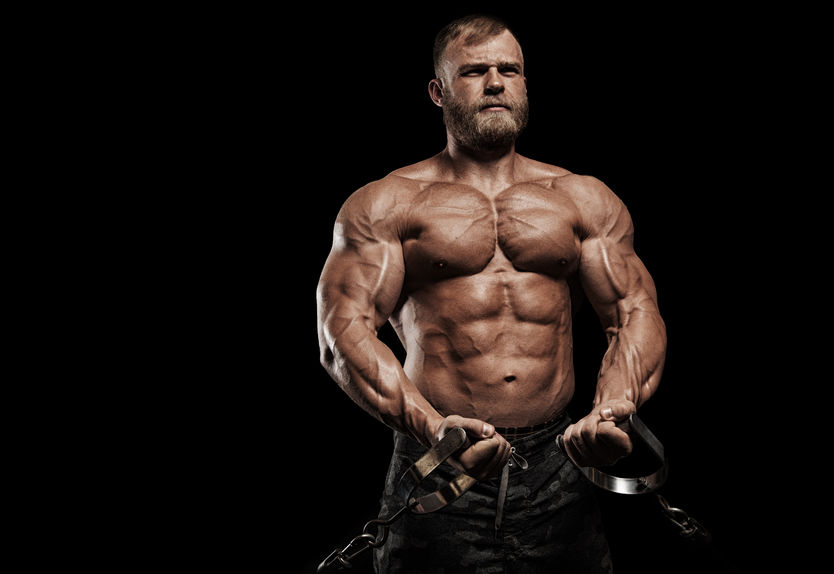 SHR # 2222 :: The Exertion Load Theory ::