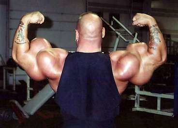 SHR # 2376 :: Is Site Enhancement Oil Killing Bodybuilders