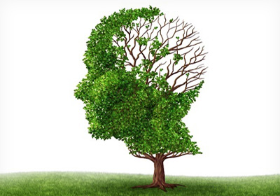 SHR # 1494 :: REPLAY MONDAY :: This is Your Brain On Old + How to Reverse Brain Aging ::