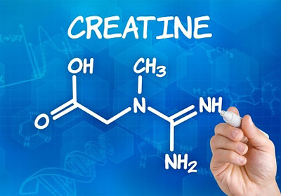 creatine molecular illustration