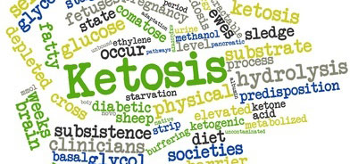 ketosis